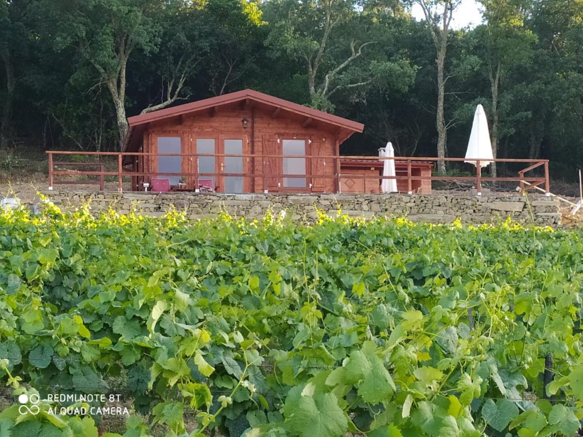 Casa Das Vinhas Velhas By Casa Do Poco Peso da Regua Exterior photo